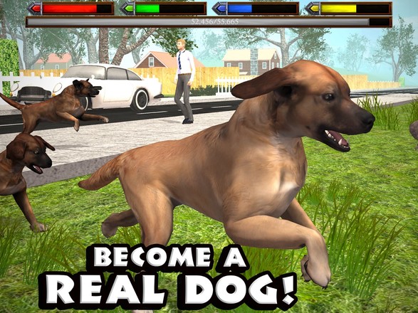 Ultimate Dog Simulator截图6