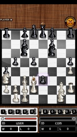 国际象棋的国王截图3
