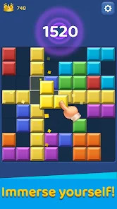 Block Master - Puzzle Game截图2