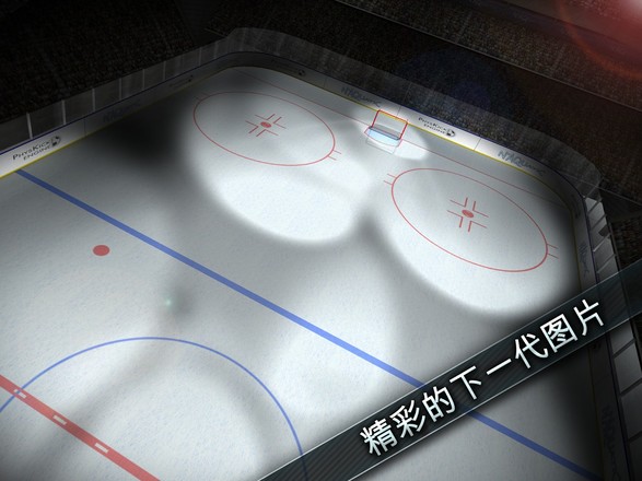 Hockey Showdown截图10