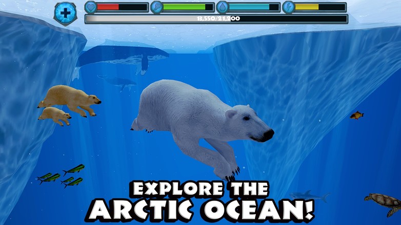终极北极熊模拟器截图2