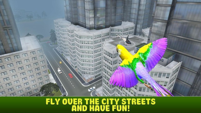 City Bird Parrot Simulator 3D截图4