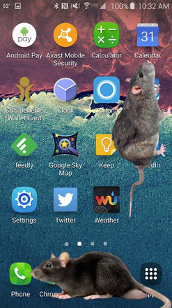 大鼠在屏幕上截图5