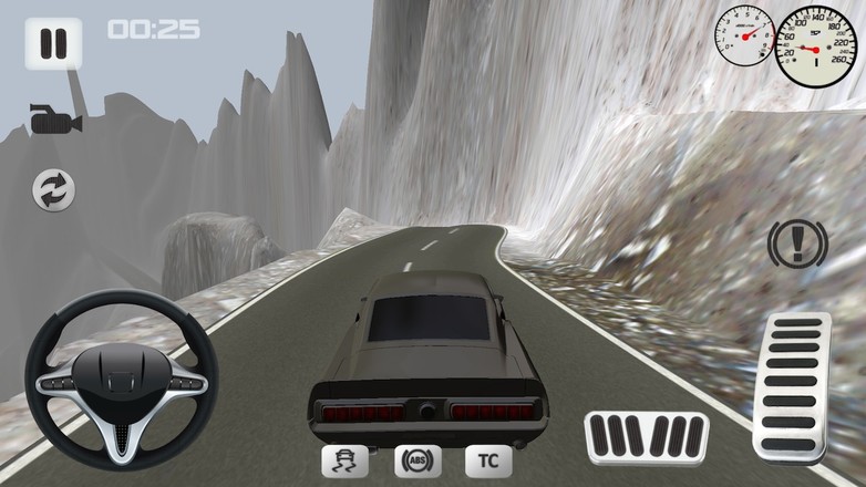 Offroad Car Simulator截图3