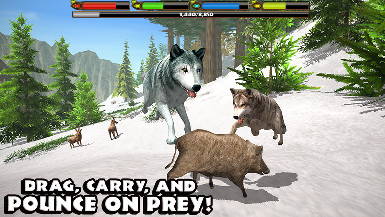 Ultimate Wolf Simulator截图3