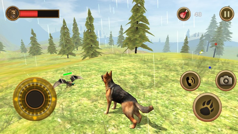 Wild Dog Survival Simulator截图5
