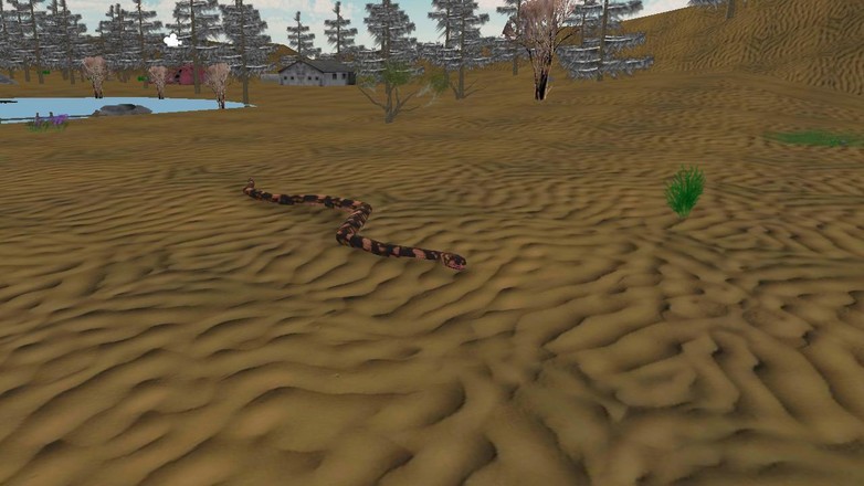 Anaconda Snake Simulator 3D截图4