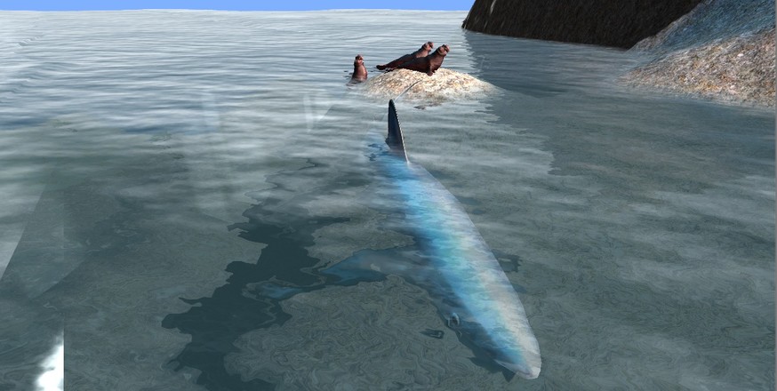 Shark Simulator 3D截图4
