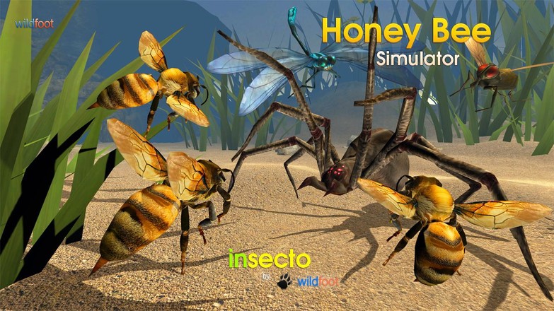 Honey Bee Simulator截图2