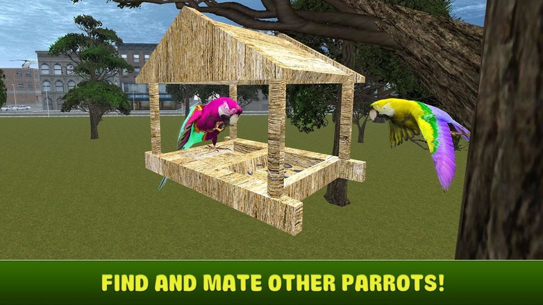 City Bird Parrot Simulator 3D截图3