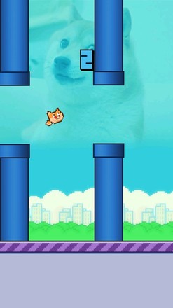 Flappy Doge截图9