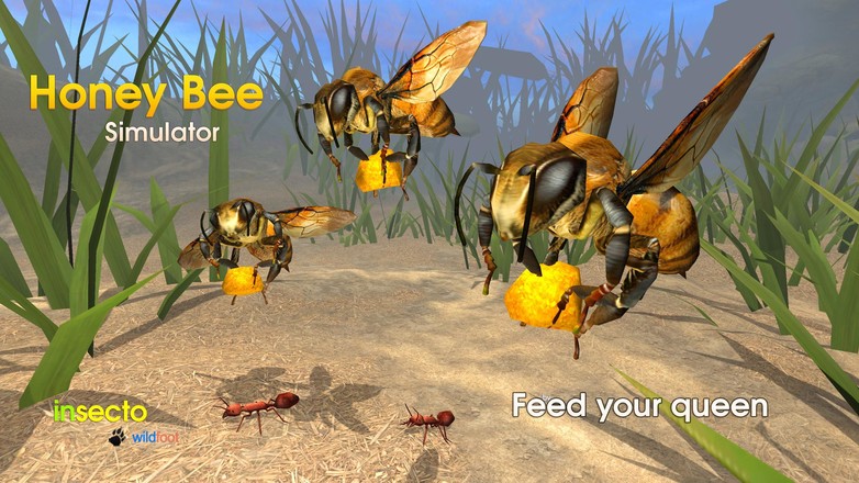 Honey Bee Simulator截图7