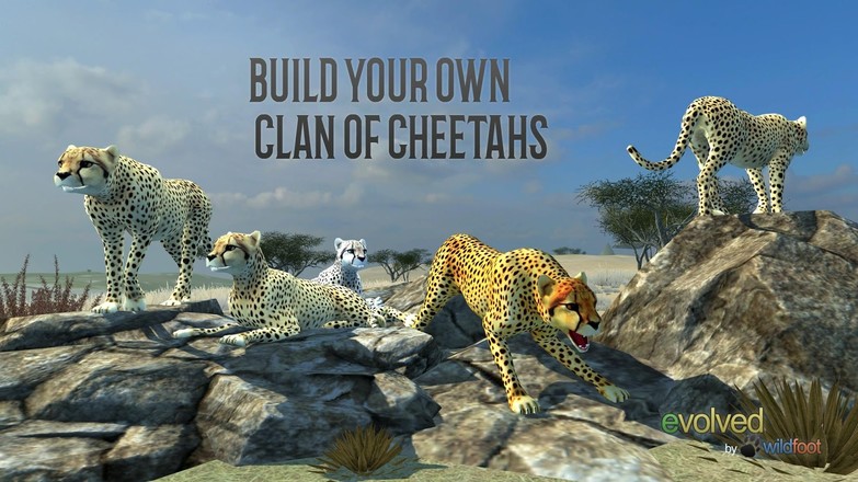 Clan of Cheetahs截图8
