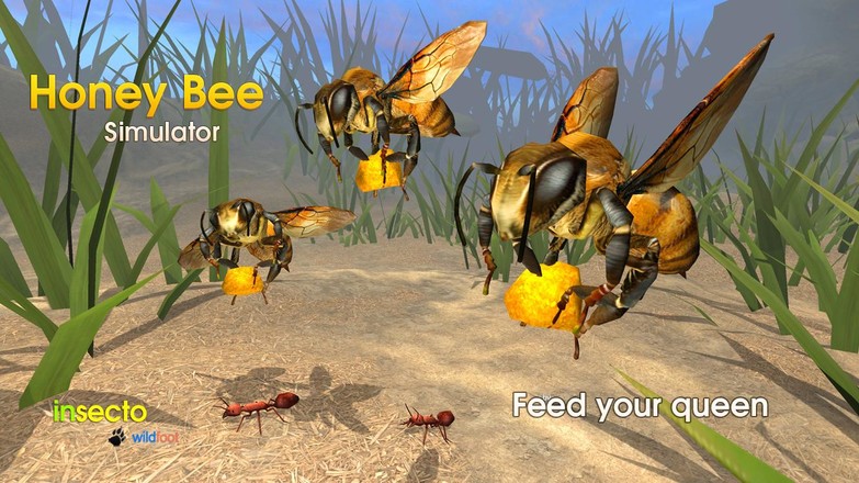 Honey Bee Simulator截图1