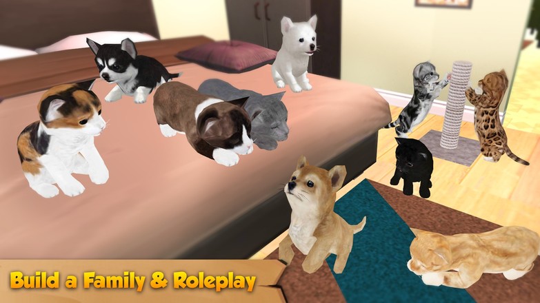 Cat & Dog Online: Pet Animals截图2