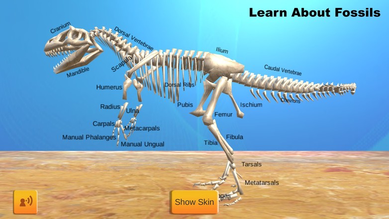 Dinosaur Sim 恐龙模拟截图2