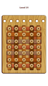 Wood Nuts & Bolts Puzzle截图3