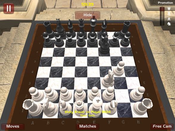 Chess King截图3