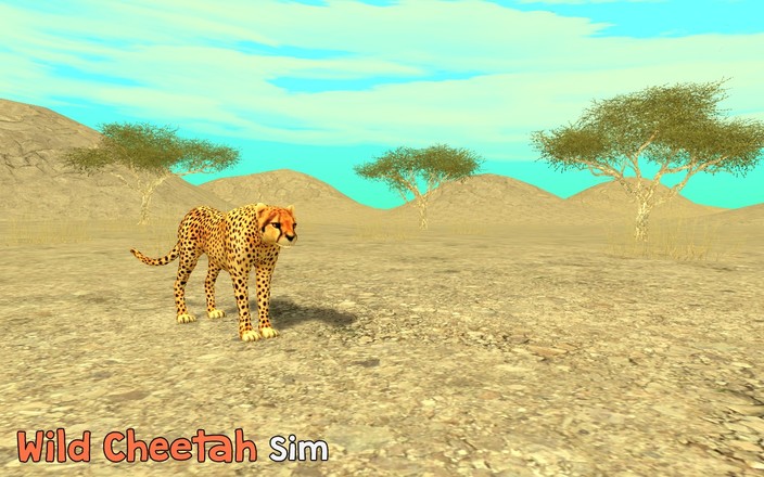野生猎豹模拟截图3