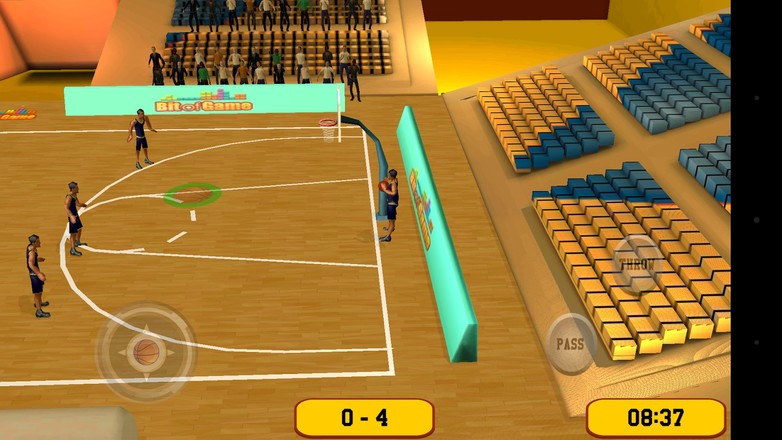 Basketball Sim 3D截图1