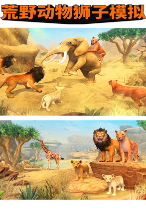 荒野动物狮子模拟截图1