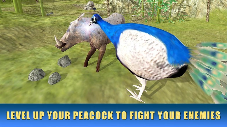 Peacock Simulator 3D截图3