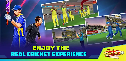 World T20 Cricket League截图3