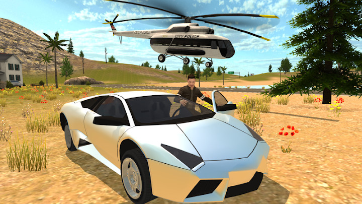 Helicopter Flying Simulator: Car Driving截图5