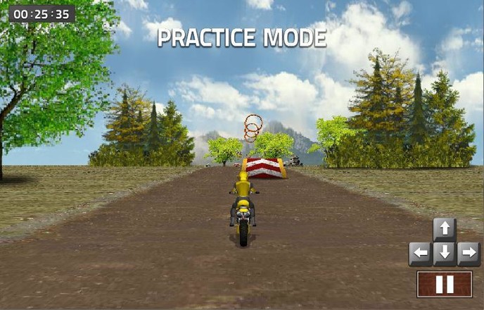 Dirt Bike Racing截图1