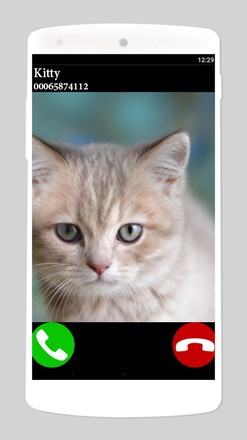 假电话猫2截图1