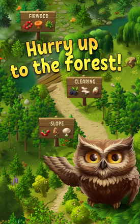 Forest Bounty — restaurants and forest farm截图3