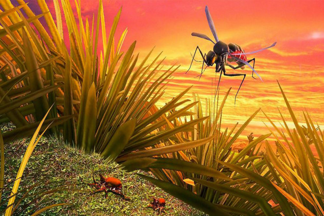 蚊子模拟器3D截图3