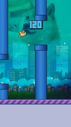 Flappy Doge截图6