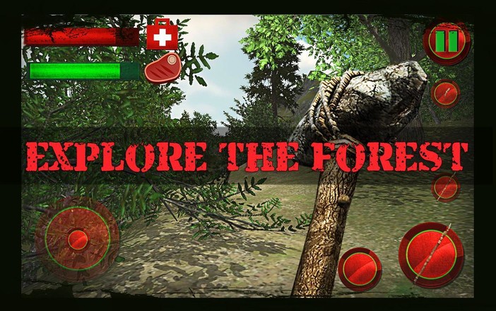 The Forest Survival 3D截图1