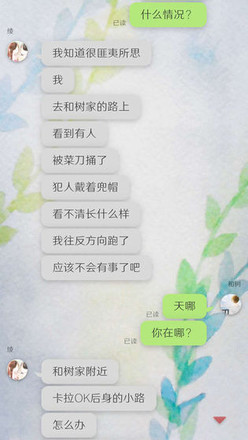 我的女友 在被人追赶截图3