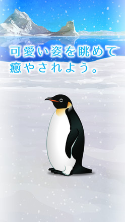 癒しのペンギン育成ゲーム截图6