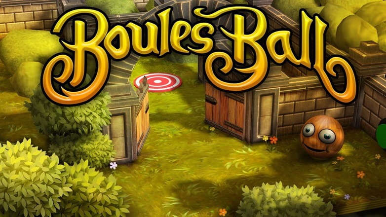 Boules Ball截图1