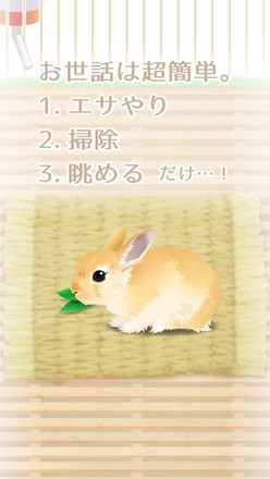 治愈兔兔养成汉化版截图4
