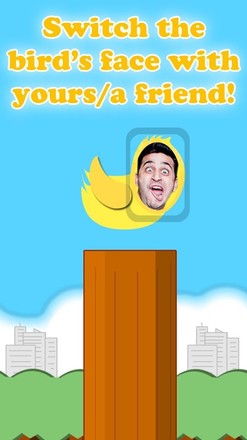 Flappy You: flappy bird game截图2