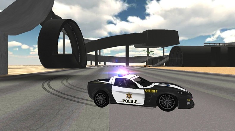 Police Car Driving Sim截图7