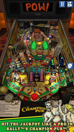 Williams™ Pinball截图6