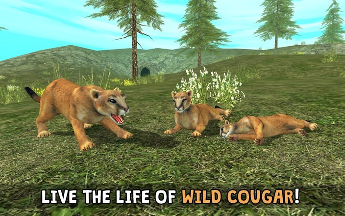Wild Cougar Sim 3D截图3
