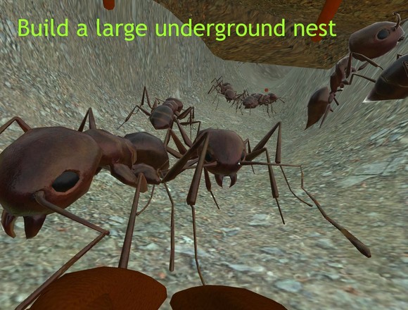 蚂蚁模拟3D截图4