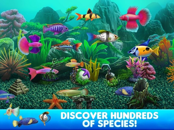 Fish Tycoon 2 Virtual Aquarium截图5