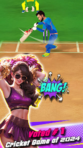 King Of Cricket Games截图4