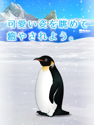 癒しのペンギン育成ゲーム截图4
