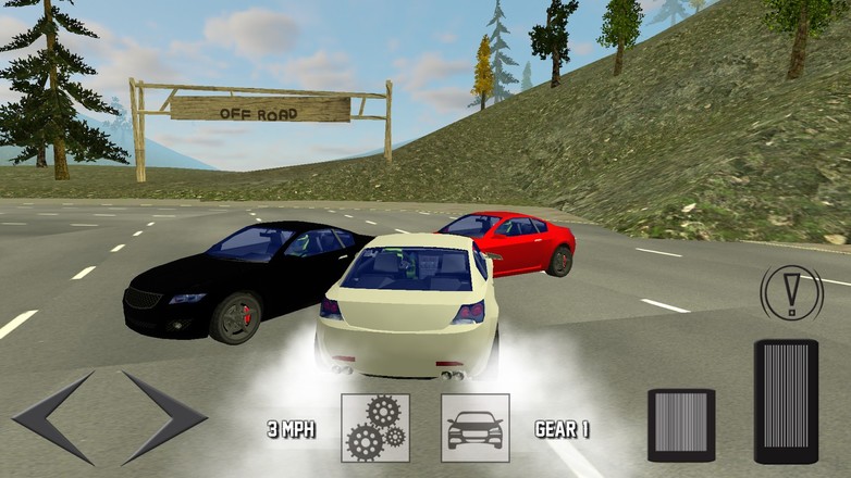 Extreme Car Driving 3D截图5