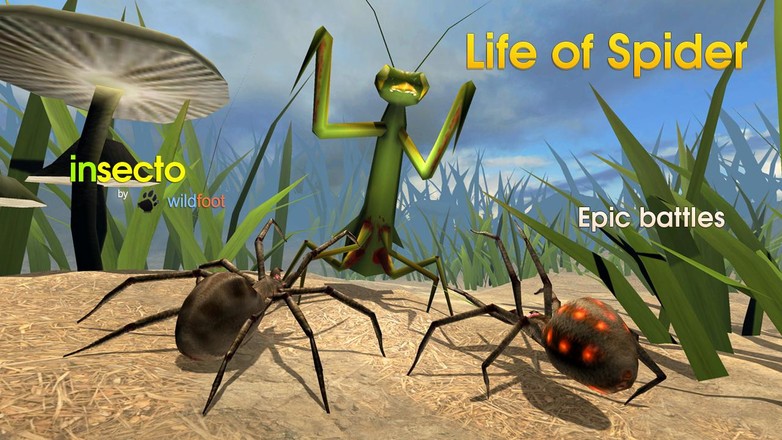 Life of Spider截图10