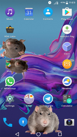 大鼠在屏幕上截图4