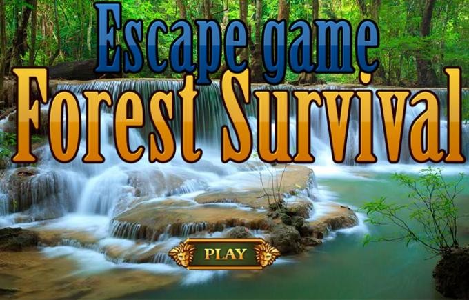 Escape Game Forest Survival截图2